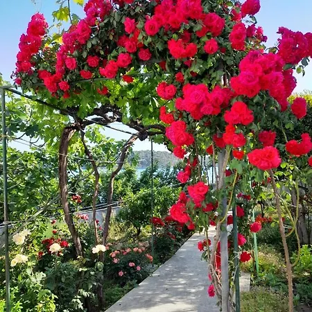 Πανσιόν Sea View Macolic Palit